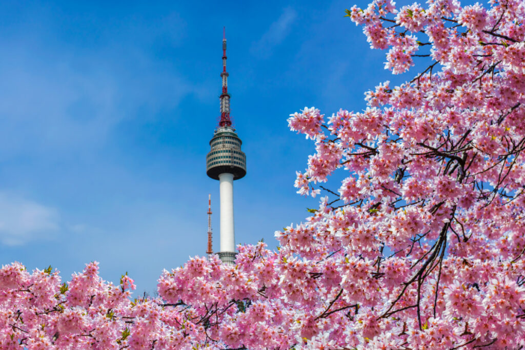 Hallyu: ¿Por qué todo el mundo parece obsesionado con Corea del Sur? 1 torre seul 1